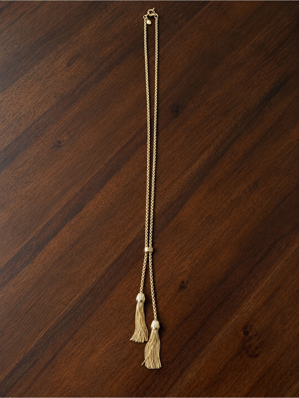 J.Crew - Gold Toned, Double Tassel Lariat Necklace